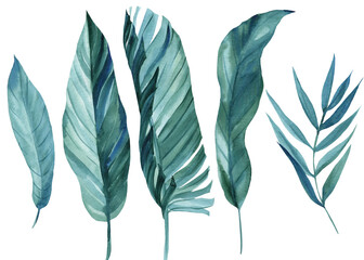 Abstract tropical leaves of palm trees on isolated white background, watercolor illustration