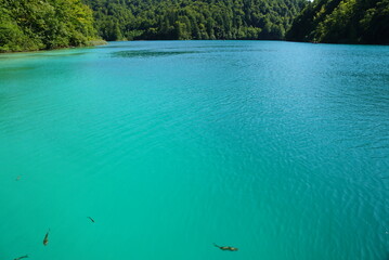 Fototapeta na wymiar Emerald waters of Plitvice Lakes in Croatia
