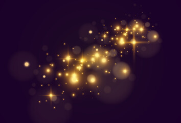 Fototapeta na wymiar Bright beautiful star.Vector illustration of a light effect on a transparent background. 