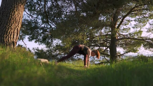 Young woman doing sunrise yoga flow asana, outdoor forest peaceful morning