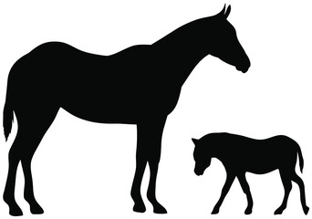 Vector silhouette of horses - Isolated on white background　二頭の馬のベクターイラスト