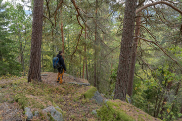 Hiker stands in a forest and looks forward. Adventure, travel, tourism, hike concept.