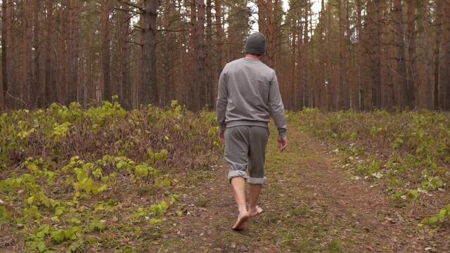 Back View: Barefoot Man Walking Through Magical Autumn Forest. Unity of Man and Nature