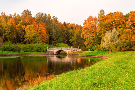 Pavlovsky Autumn Park. A cyclist on the trail. Slavyanka river in Pavlovsk, Saint Petersburg
