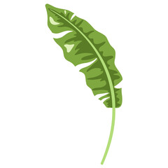 Tropical Banana Leaf Isolated Icon. Flat style exotic botanical element for logo, cosmetics, spa, beauty care products