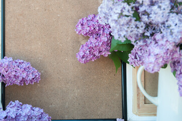 Empty space backdrop with lilac