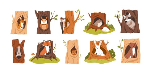 Set of animals and birds inside hollows. Squirrel, owl, woodpecker, hedgehog, raccoon, bat, fox, beaver, hare, and weasel in tree hole houses. Flat vector illustration isolated on white background - obrazy, fototapety, plakaty