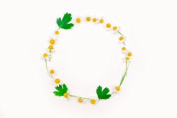 Round frame from white flowers of daisies on a white background. Composition from summer wildflowers. Wreath of various flowers, leaves on a white background. Spring, summer, Easter concept.copy space