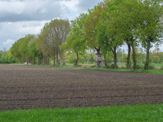 Wald und Wiesen im MÜnsterland