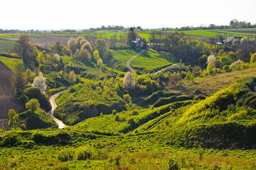 Rural landscape nature fields and meadows