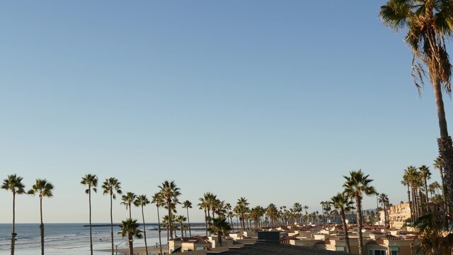 Palm tree perspective in Oceanside, California waterfront pacific ocean tropical beach resort, USA. Summertime sea coastline vacations. Palmtrees on beachfront seacoast boardwalk. Daytime blue sky.