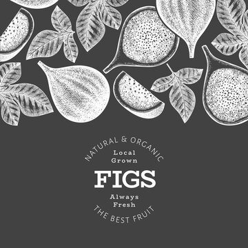 Hand drawn fig fruits design template. Organic fresh food vector illustration on chalk board. Retro fig fruit banner.