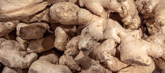 Organic ginger roots close-up in a grocery store.