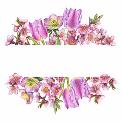 Banner with cherry branch pink flowers, hellebore, tulip. Japan sakura blossom. For decoration, greeting card, invitation. Watercolor hand drawn painting illustration isolated on a white background.