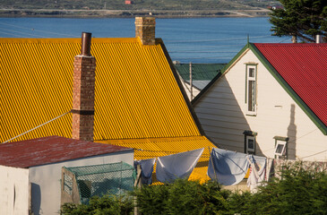 Port Stanley, Iles Falkland, Malouines - obrazy, fototapety, plakaty