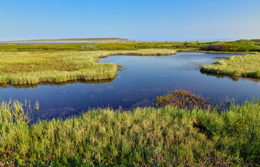 Landscape with swamp and small lake on the Varanger peninsula, Finnmark, Norway