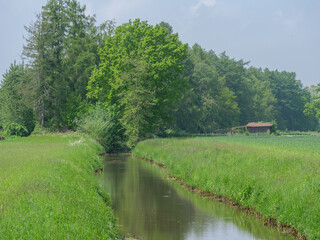 Fototapeta na wymiar Waldgebiet im westlichen Münsterland