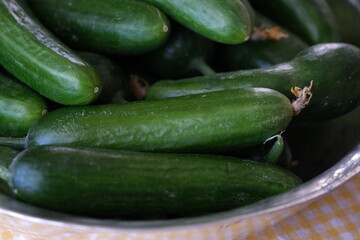 Freshly harvested  cucumbers  in old copper pots