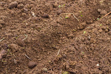 Land in the greenhouse for planting seeds in the spring