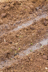 Land in the greenhouse for planting seeds in the spring