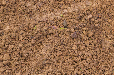 Land in the greenhouse for planting seeds in the spring