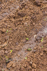 Land in the greenhouse for planting seeds in the spring