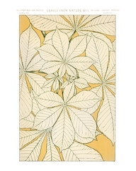 Vintage flower pattern wall art print and poster.