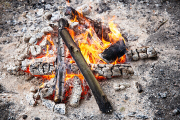 Close up of a burning bonfire in the forest.