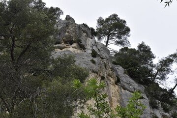 Gorges de Gardon