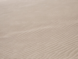 Fototapeta na wymiar Sand crests in the dunes.