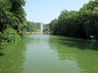 Beautiful fountain among the pond
