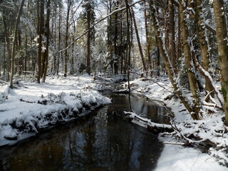 Beautiful stream in the forest in winter