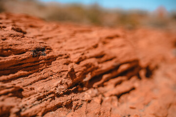 The texture of red rocks in the Valley of Fire, Nevada. Background image of natural pattern