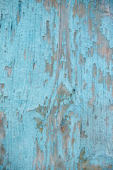 Fototapeta na wymiar wooden texture. the old paint is scuffed. Turquoise color. Board. Painted timber.
