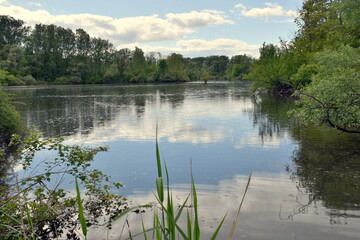 Frühlingslandschaft im Naturschutzgebiet Taubergießen