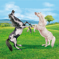 cheval, animal, ferme, champ, indien, noir et blanc,  sauvage,  mammifère, poney, course, nature, poulain, étalon, galop, chèvre, animal de compagnie, vert, , alpage, chevalin, domestique, prairie