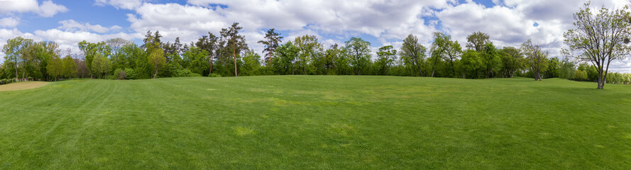 Big glade with trees on background in park, panoramic view