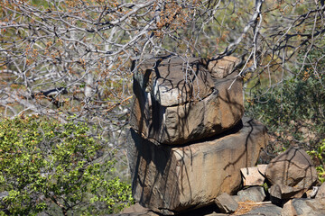 Tshanga Lookout / Tshanga Lookout /