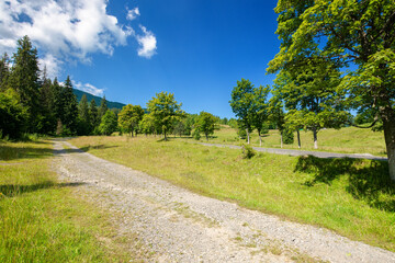 Fototapeta na wymiar old country road through mountainous countryside. beautiful summer landscape. spruce trees along the way. bright sunny weather. travel backcountry concept