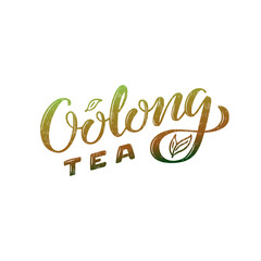 Vector illustration of oolong tea brush lettering for package, banner, flyer, poster, bistro, café, shop signage, advertisement design. Handwritten text for template, sign, billboard, print 
