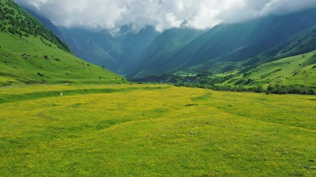 View of wildflower meadow and Caucasus mountains, 4k
