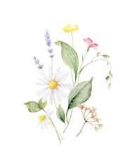 Watercolor vector bouquet of with wildflower flowers and leaves.