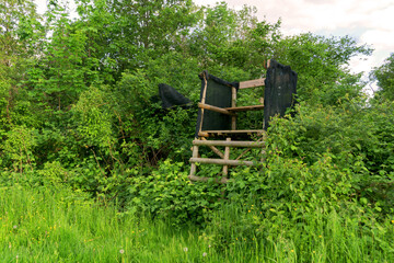 Lookout wooden ladder seat, also known as hunter's seat, hunter's high seat between the trees in...