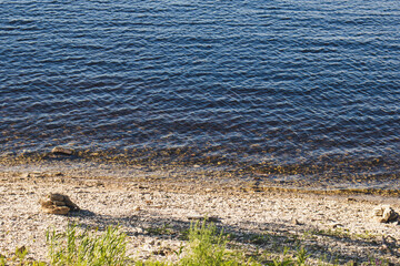 the river in the wild