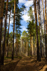 Obraz premium Industrial landscape with a factory. Industrial buildings are inscribed in nature and constitute an industrial landscape