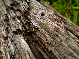 texture
