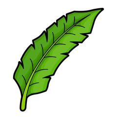 Palm tree leaf cartoon icon. Tropical plant branch pictogram. Jungle foliage. Exotic floral element.