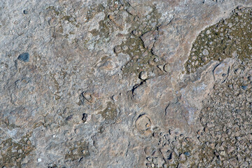 Background or texture of rocks and sand on desert soil, sunlight