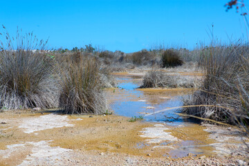 deserted and lonely place with arid land and areas of wetlands dry vegetation