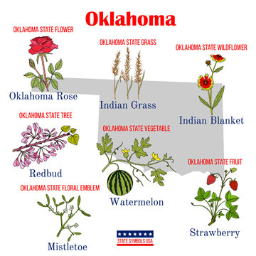 Oklahoma. Set of USA official state symbols